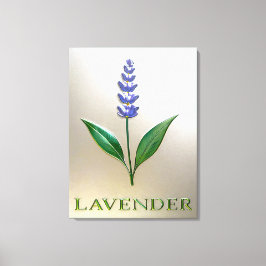 Lavendel Blume in glänzender Eleganz Canvastryck
