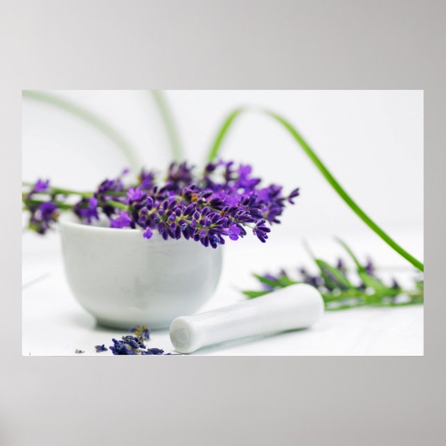 Lavendel Duft Poster (Framsidan)