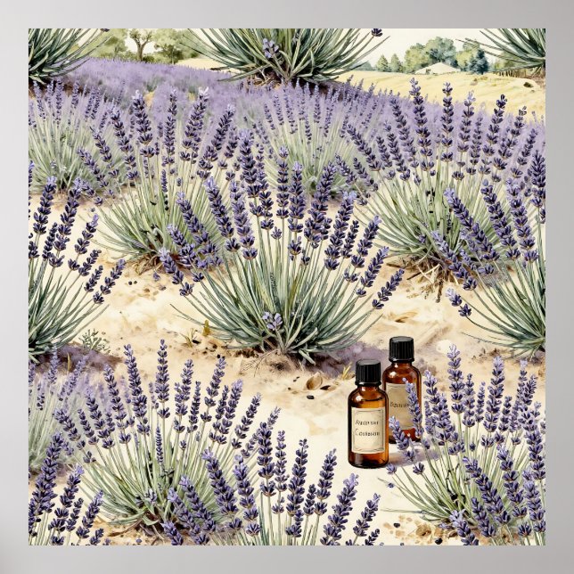 Lavendel Fält Essential Olja Akvarell Mönster Poster (Framsidan)