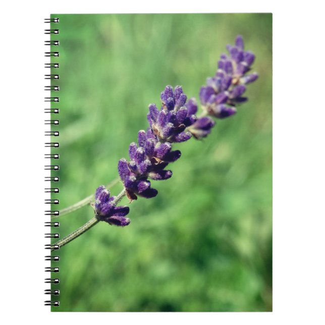 Lavendel Foto Spiral Anteckningsbok (Framsidan)