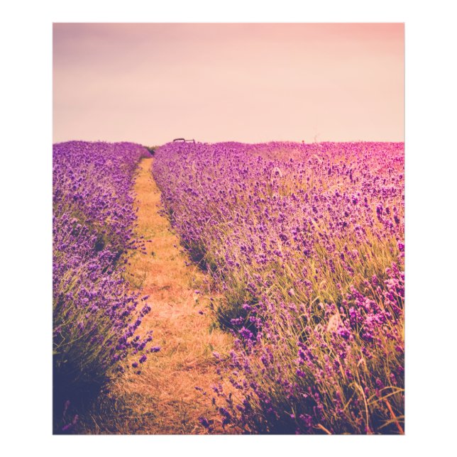 Lavendel Fototryck (Framsidan)