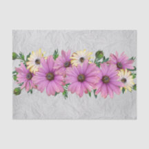 Lavendel- & gultdaisy