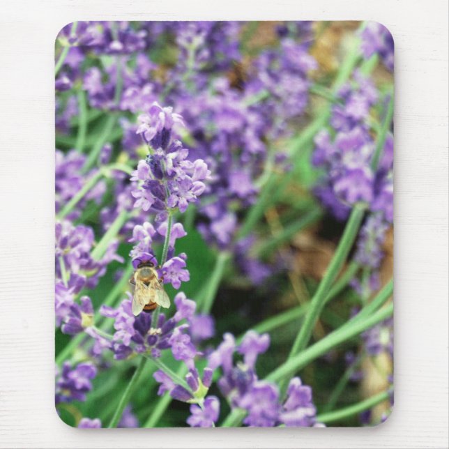 Lavendel- & Honeybeemusen vadderar Musmatta (Framsidan)