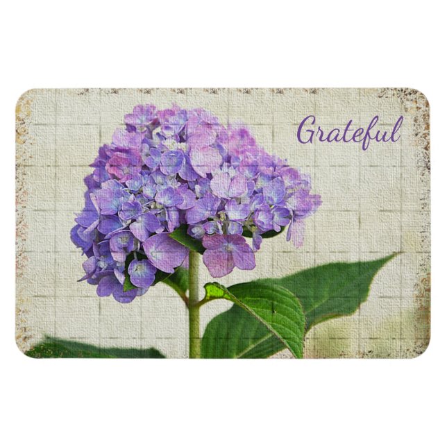 Lavendel Hortensia Tacksamhet Magnet (Horisontell)
