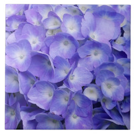 Lavendel Hydrangea Kakelplatta