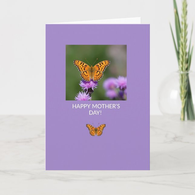 Lavendel Insekt Fotokort Kort (Framsida)
