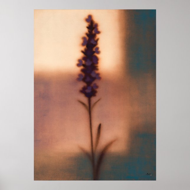 Lavendel Japandi blomabstraktion Poster (Framsidan)