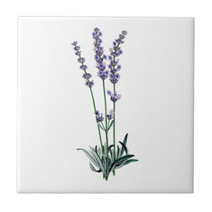 Lavendel Kakelplatta