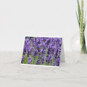 Lavendel noterar kortet kort