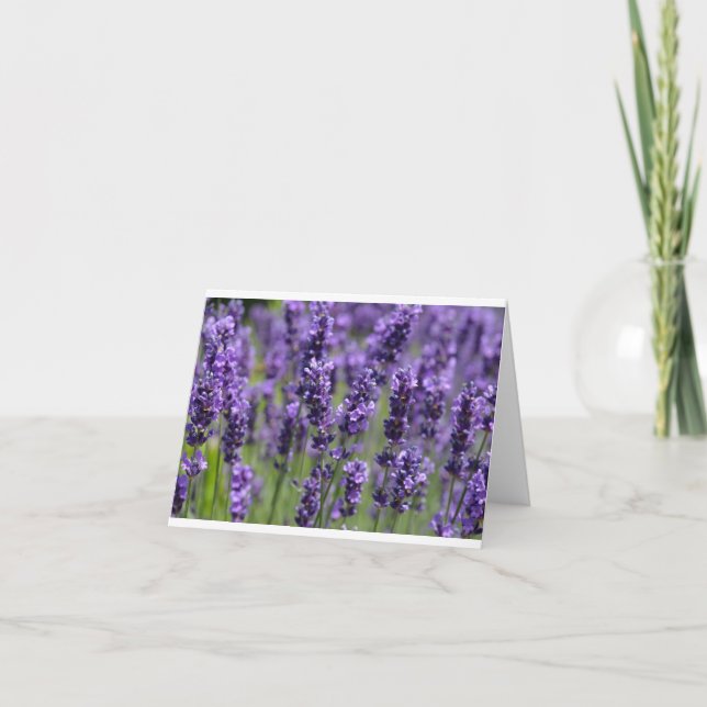Lavendel noterar kortet kort (Framsida)