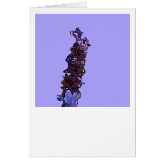 Lavendel OBS Kort (Framsidan)