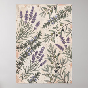 Lavendel Oliv Botanisk Konstaffisch Poster