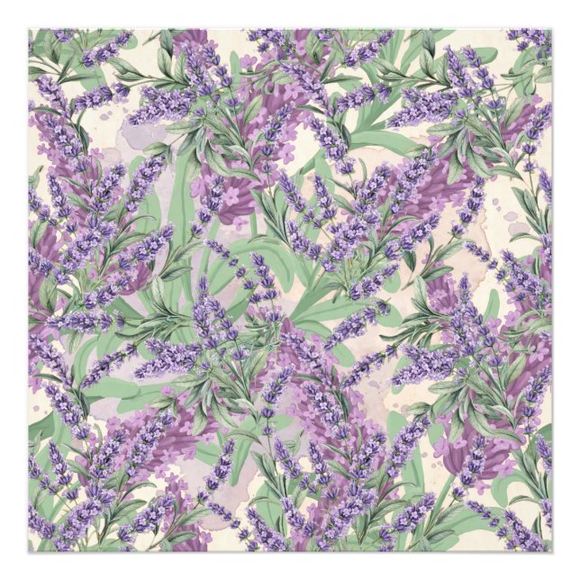 Lavendel överflöd Dusty Lavendel Rustik Blomma Fototryck (Framsidan)