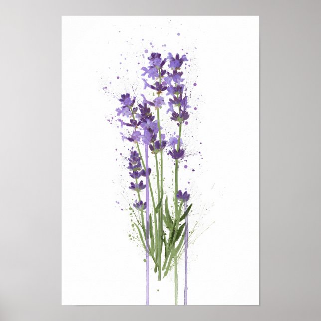 Lavendel Poster (Framsidan)