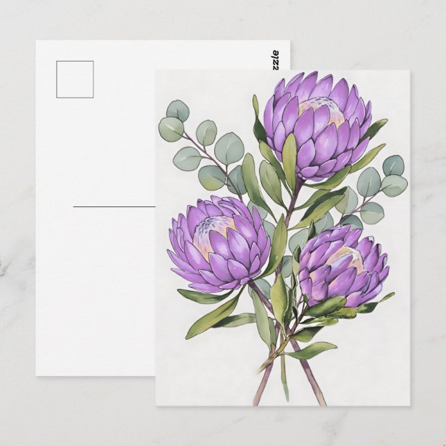 Lavendel Protea Botanisk Akvarell Vykort (Fram/baksida)