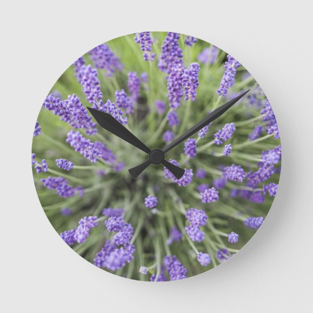 Lavendel Rund Klocka (Framsida)