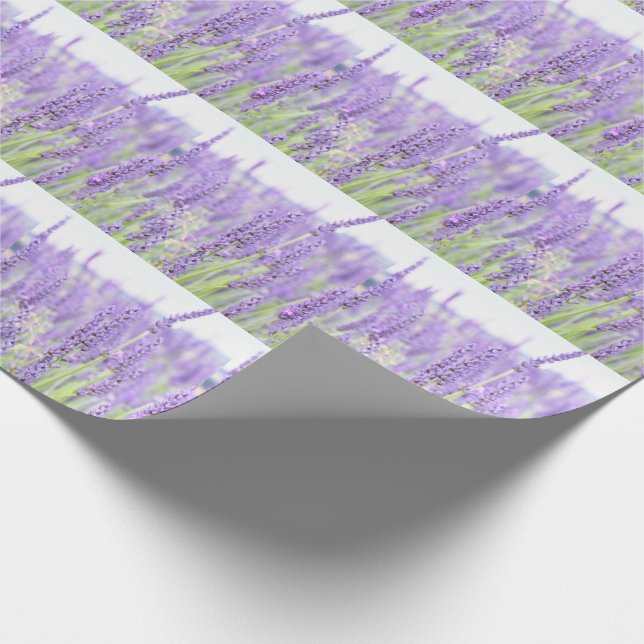 Lavendel sätter in fotografi, olika gåvor presentpapper (Hörn)