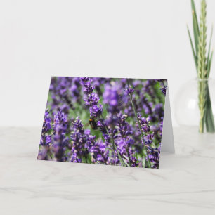 Lavendel sätter in hälsningkortet kort