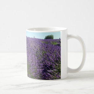 Lavendel sätter in Sequim, WA-mugg Kaffemugg