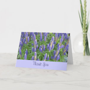 Lavendel Tack Kort