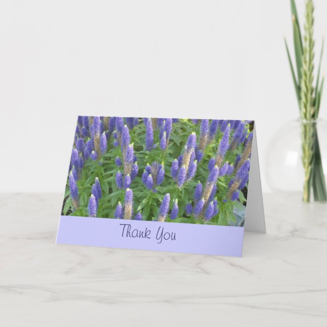 Lavendel Tack Kort (Framsida)