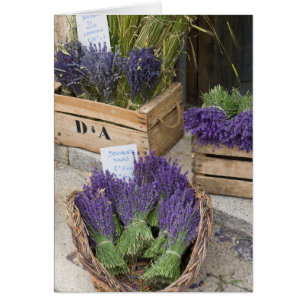 Lavendel till salu, Provence, Frankrike Hälsningskort