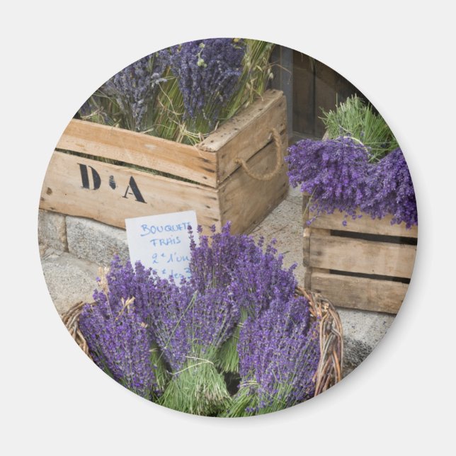 Lavendel till salu, Provence, Frankrike Magnet (Framsidan)