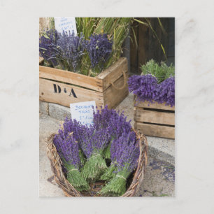 Lavendel till salu, Provence, Frankrike Vykort