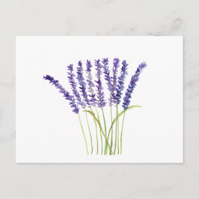 Lavendel Vattenfärg Lila Blommor Rustik Vykort (Framsida)