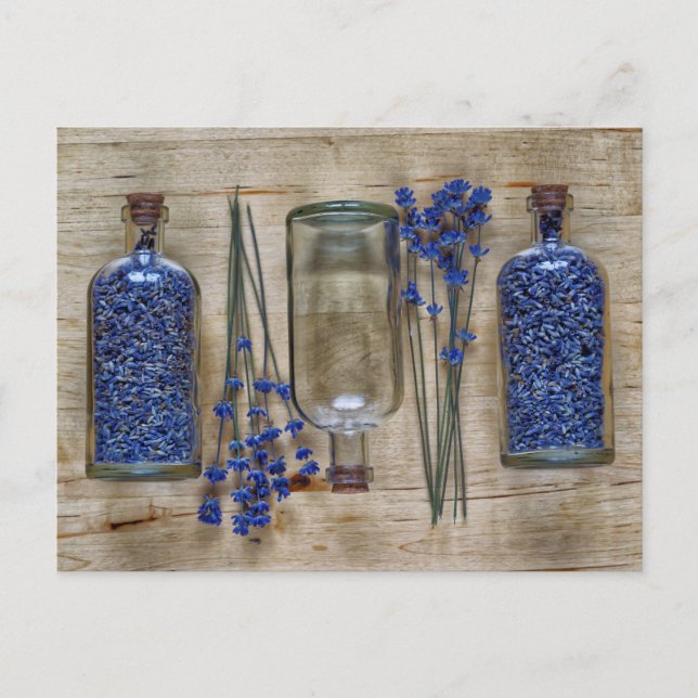 Lavendel Vykort (Framsida)