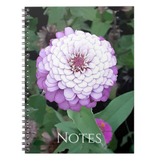 Lavendel Zinnia anteckningsbok