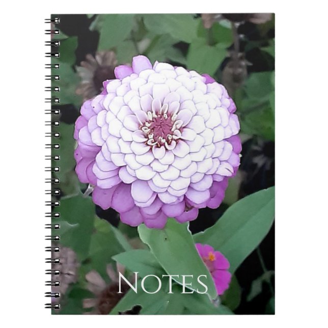 Lavendel Zinnia anteckningsbok (Framsidan)
