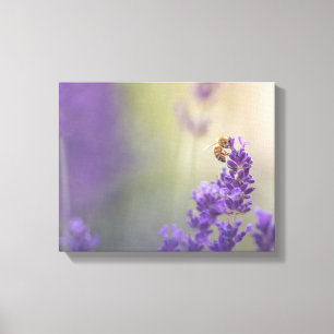 Lavendelblomma Honungsbin Naturfoto Canvastryck