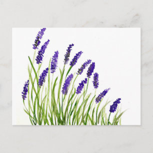 Lavendelblommor akvarell Lila Blommig rustik Vykort