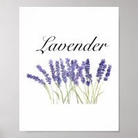 Lavendelblommor akvarell örter lila chic