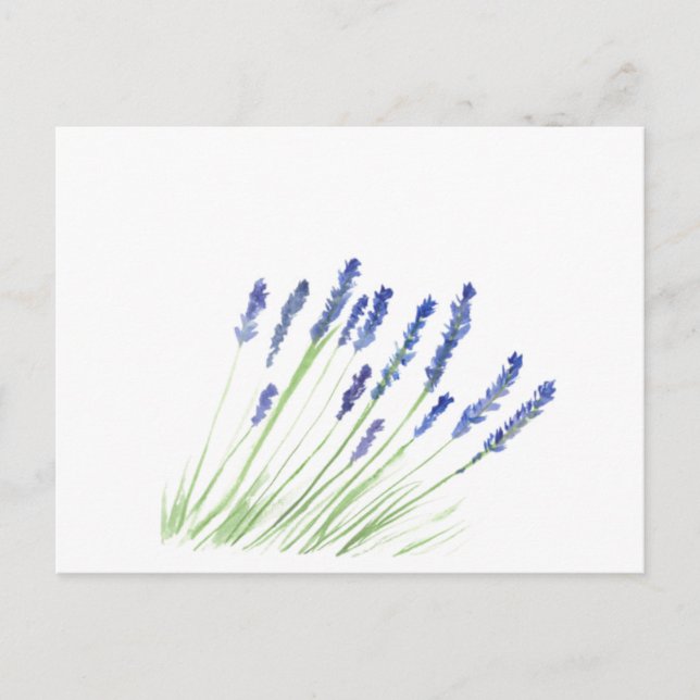 Lavendelblommor Lila Blommig Akvarell Vykort (Framsida)