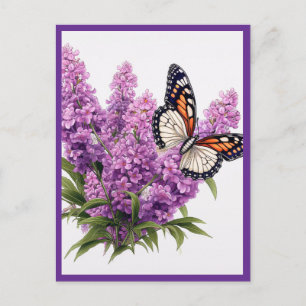 LAVENDelblommor med fjäril Vykort
