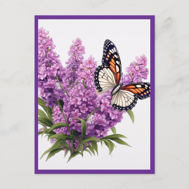 LAVENDelblommor med fjäril Vykort (Framsida)