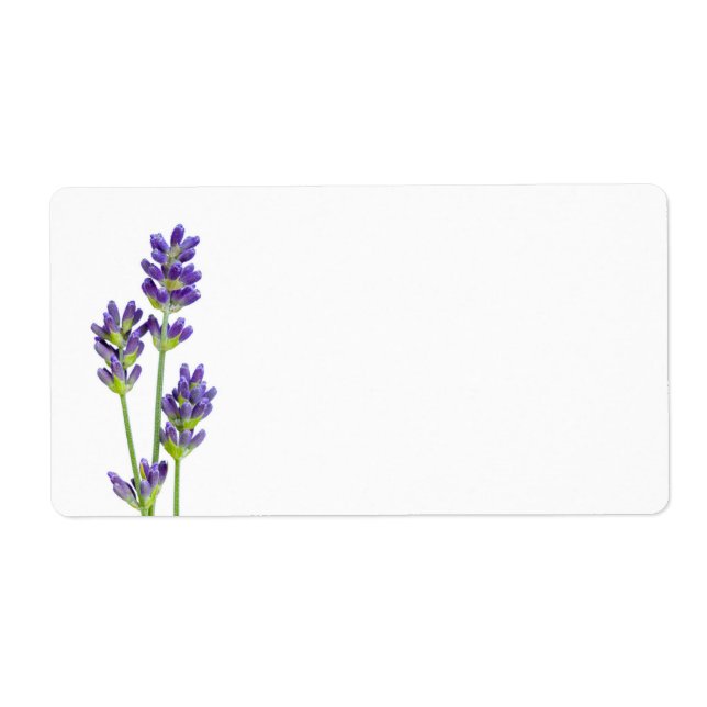 Lavendelblommor som isoleras på vitbakgrund fraktsedel (Framsidan)