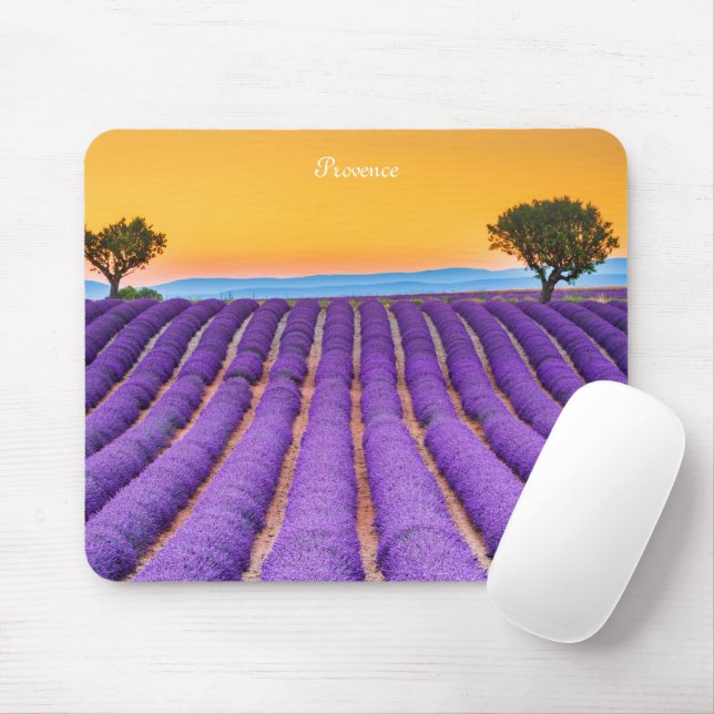 Lavendelfält i Provence Musmatta (Med mus)