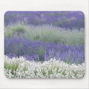 Lavendelfält Mousepad Musmatta