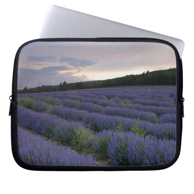 Lavendelfält på solnedgången laptop sleeve (Framsidan)
