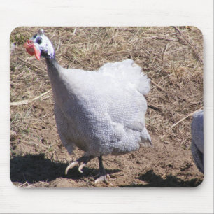 LavendelGuinea fågel Musmatta