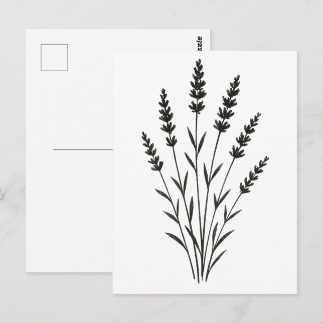 Lavendelkvistar – minimalistisk botanisk design på vykort (Fram/baksida)