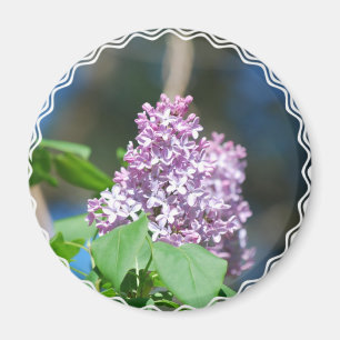 Lavendellilamagnet Magnet