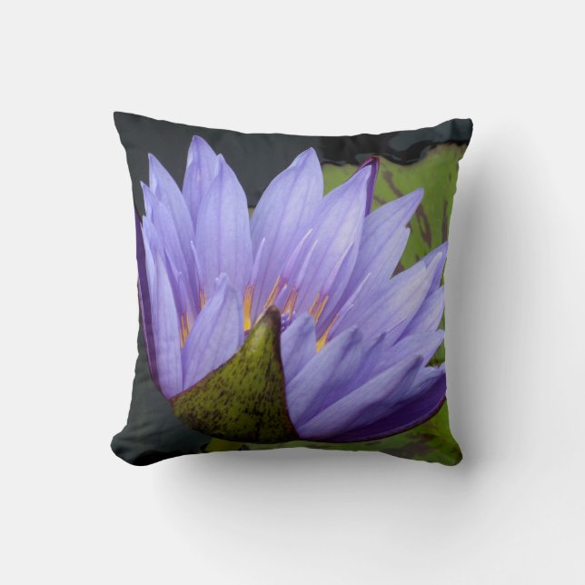 Lavendelnäckros Kudde (Framsida)