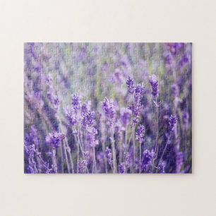 Lavendelns Blommigt Pussel