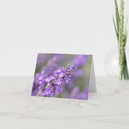 Lavender Anteckningskort