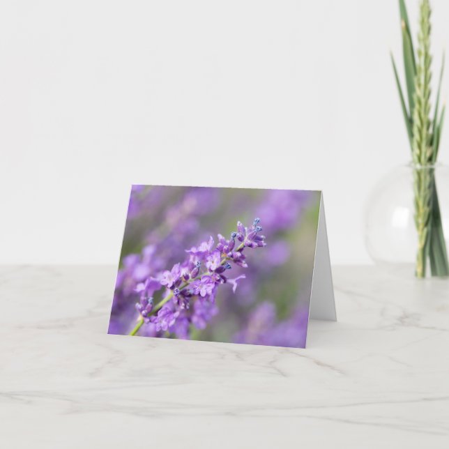 Lavender Anteckningskort (Framsida)