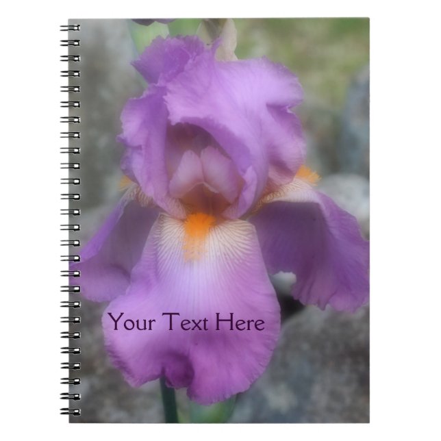 Lavender Bearded Iris Flower Nature Notebook Anteckningsbok Med Spiral (Framsidan)